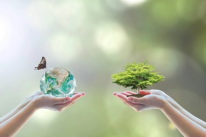 tree planting and model earth with butterfly on volunteers' hand | eco-friendly community
