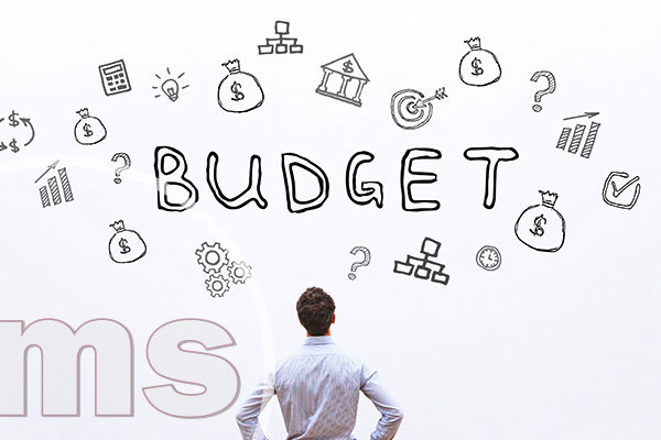 annual financial plan | hoa budget