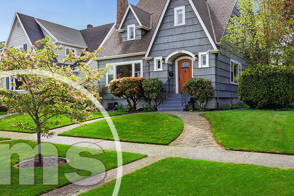 how to improve curb appeal