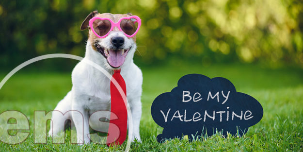 Should You Or Should You Not Host An HOA Valentine’s Day Community Event? HOA Valentine's Day Community Event