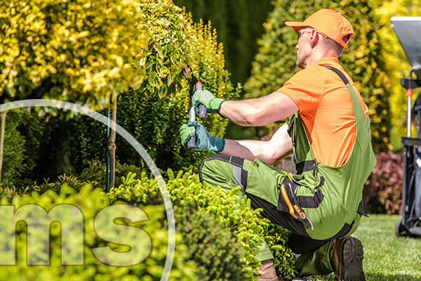 HOA Landscaping Everything A Homeowner Should Know hoa landscaping
