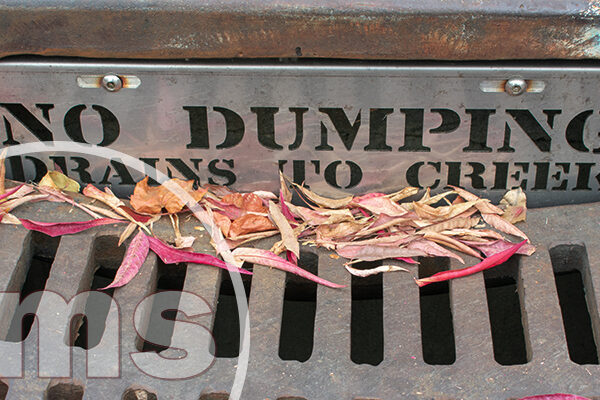 Is The HOA Responsible For Water Drainage? hoa responsible for water drainage