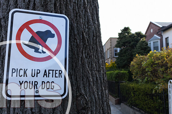 HOA Rule Enforcement: How To Encourage Homeowners To Be Rule Followers hoa rule enforcement